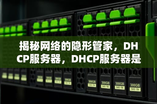 揭秘网络的隐形管家，DHCP服务器，DHCP服务器是什么