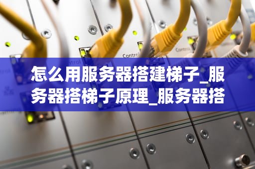 怎么用服务器搭建梯子_服务器搭梯子原理_服务器搭建梯子的全面指南