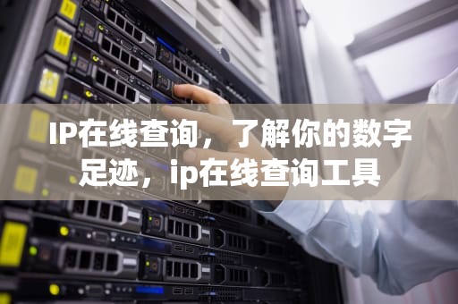 IP在线查询，了解你的数字足迹，ip在线查询工具