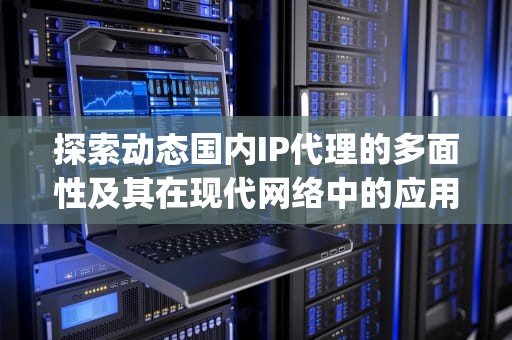 探索动态国内IP代理的多面性及其在现代网络中的应用，动态国内ip代理ip