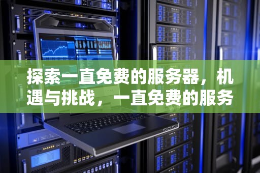 探索一直免费的服务器，机遇与挑战，一直免费的服务器下载