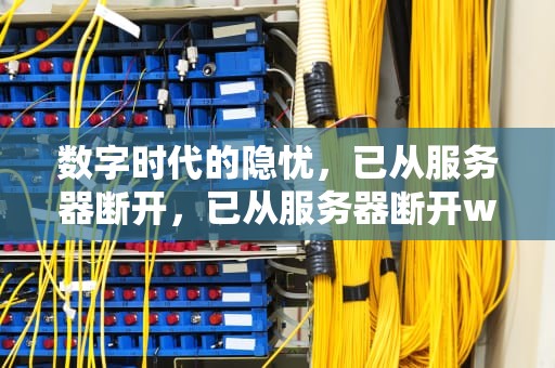 数字时代的隐忧，已从服务器断开，已从服务器断开wow