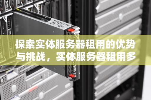探索实体服务器租用的优势与挑战，实体服务器租用多少钱