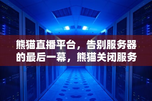熊猫直播平台，告别服务器的最后一幕，熊猫关闭服务器怎么关