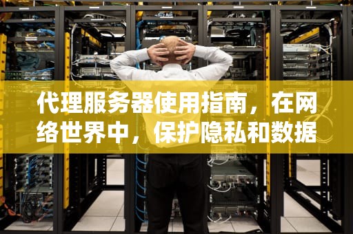 代理服务器使用指南，在网络世界中，保护隐私和数据安全至关重要。代理服务器作为一种工具，可以帮助用户实现匿名上网、绕过地域限制以及加速网络访问等功能。然而，在使用代理服务器时，我们也需要注意其潜在的风险和挑战。本文将从多个角度探讨代理服务器的使用方法、注意事项以及可能遇到的问题，帮助读者更好地了解和使用这一工具。，使用代理服务器后网页打不开