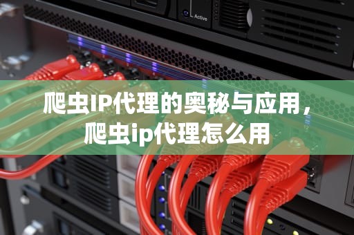 爬虫IP代理的奥秘与应用，爬虫ip代理怎么用