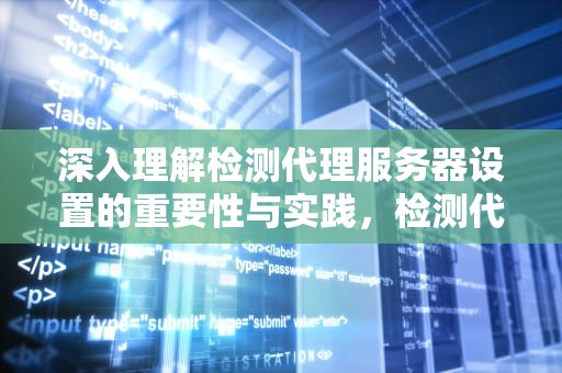 深入理解检测代理服务器设置的重要性与实践，检测代理服务器设置方法