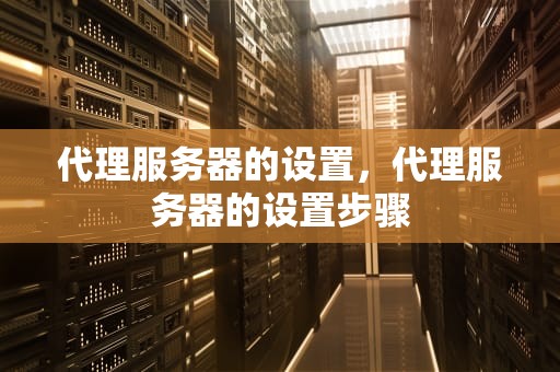 代理服务器的设置，代理服务器的设置步骤