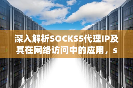深入解析SOCKS5代理IP及其在网络访问中的应用，socks5代理ip购买