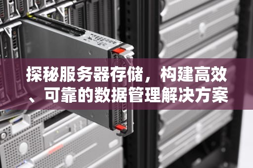 探秘服务器存储，构建高效、可靠的数据管理解决方案，服务器存储空间不足,无法处理此命令