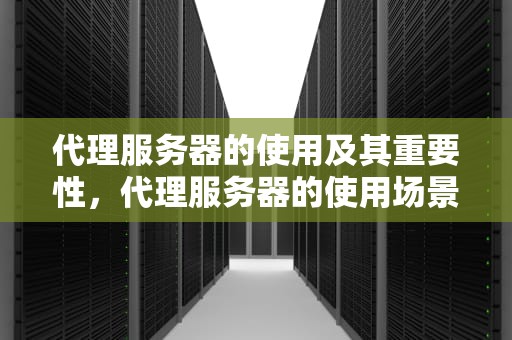 代理服务器的使用及其重要性，代理服务器的使用场景