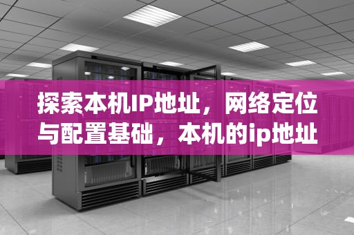 探索本机IP地址，网络定位与配置基础，本机的ip地址查询