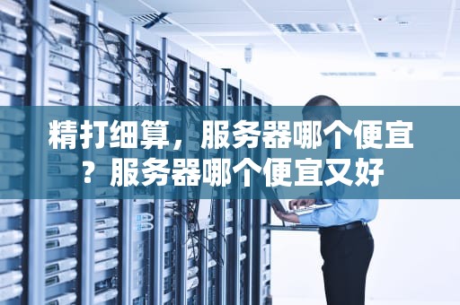 精打细算，服务器哪个便宜？服务器哪个便宜又好