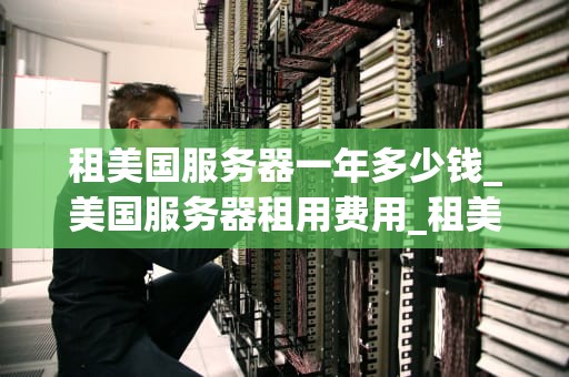 租美国服务器一年多少钱_美国服务器租用费用_租美国服务器一年的费用分析