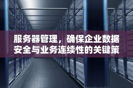 服务器管理，确保企业数据安全与业务连续性的关键策略，服务器管理软件有哪些