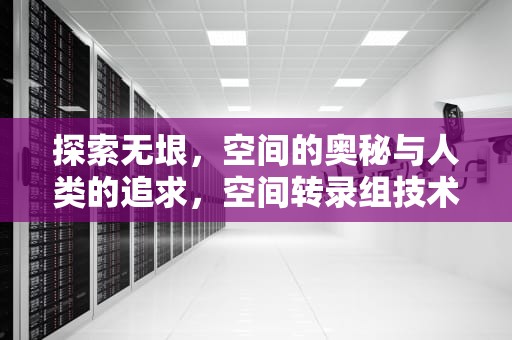 探索无垠，空间的奥秘与人类的追求，空间转录组技术