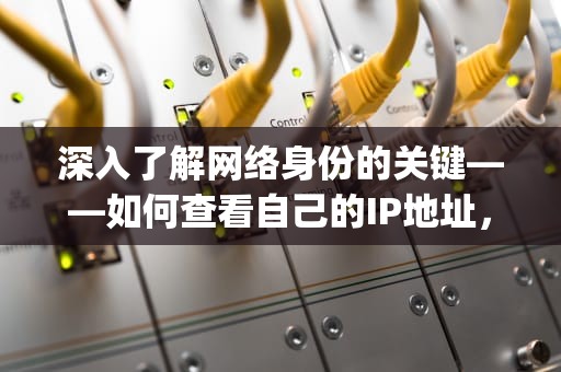 深入了解网络身份的关键——如何查看自己的IP地址，怎么查看自己的ip地址