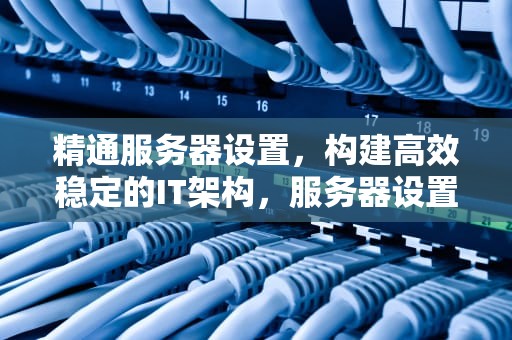 精通服务器设置，构建高效稳定的IT架构，服务器设置怎么设置
