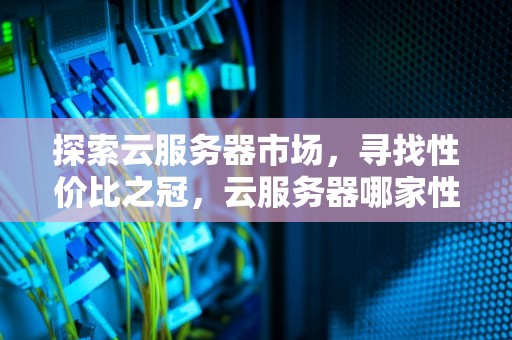 探索云服务器市场，寻找性价比之冠，云服务器哪家性价比高一点