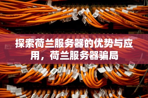 探索荷兰服务器的优势与应用，荷兰服务器骗局
