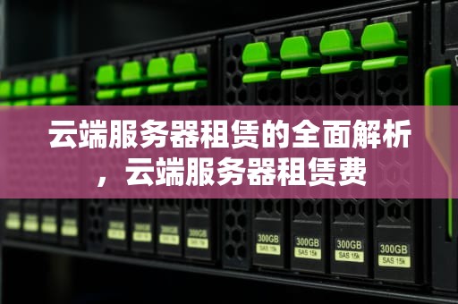 云端服务器租赁的全面解析，云端服务器租赁费