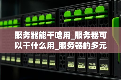 服务器能干啥用_服务器可以干什么用_服务器的多元应用与重要性