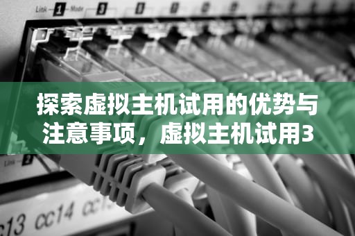 探索虚拟主机试用的优势与注意事项，虚拟主机试用3天