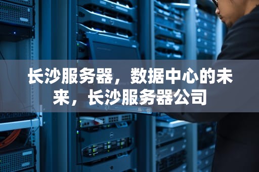 长沙服务器，数据中心的未来，长沙服务器公司