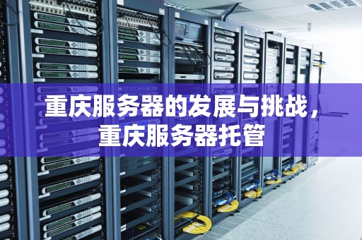 重庆服务器的发展与挑战，重庆服务器托管
