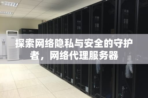 探索网络隐私与安全的守护者，网络代理服务器
