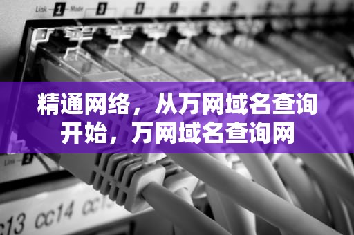 精通网络，从万网域名查询开始，万网域名查询网
