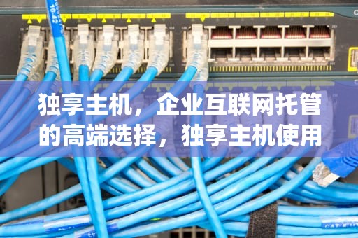 独享主机，企业互联网托管的高端选择，独享主机使用ip访问