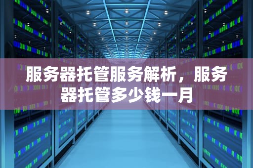 服务器托管服务解析，服务器托管多少钱一月