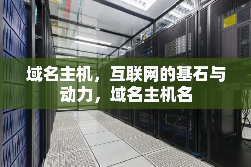 域名主机，互联网的基石与动力，域名主机名