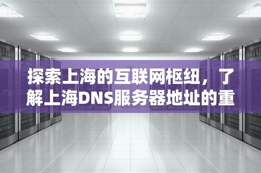 探索上海的互联网枢纽，了解上海DNS服务器地址的重要性，上海dns地址是多少