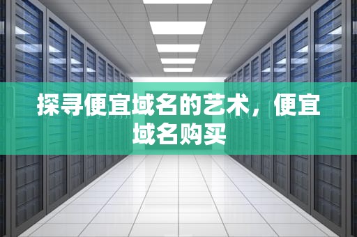 探寻便宜域名的艺术，便宜域名购买