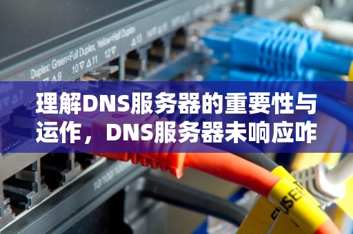 理解DNS服务器的重要性与运作，DNS服务器未响应咋办