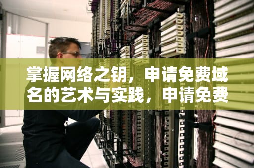 掌握网络之钥，申请免费域名的艺术与实践，申请免费域名的技巧