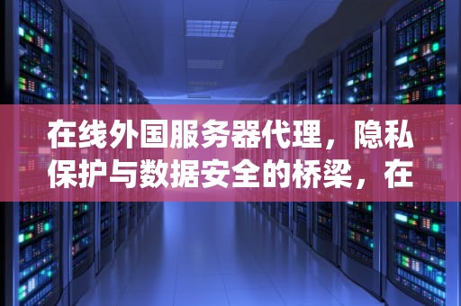 在线外国服务器代理，隐私保护与数据安全的桥梁，在线外国服务器代理ip