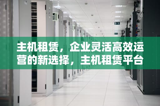 主机租赁，企业灵活高效运营的新选择，主机租赁平台