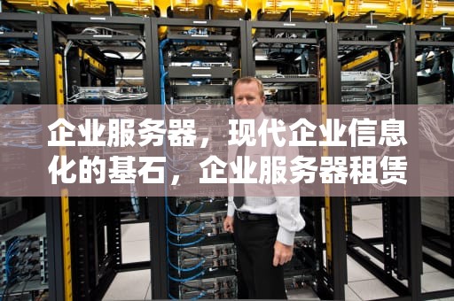 企业服务器，现代企业信息化的基石，企业服务器租赁