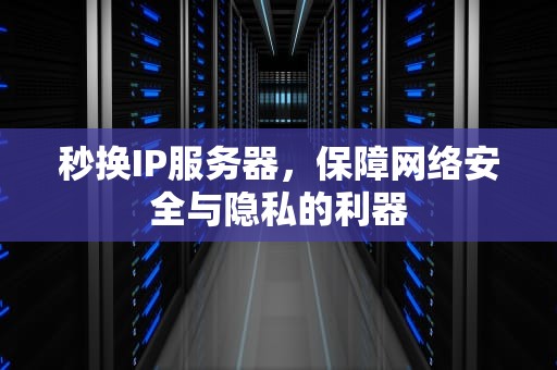 秒换IP服务器，保障网络安全与隐私的利器