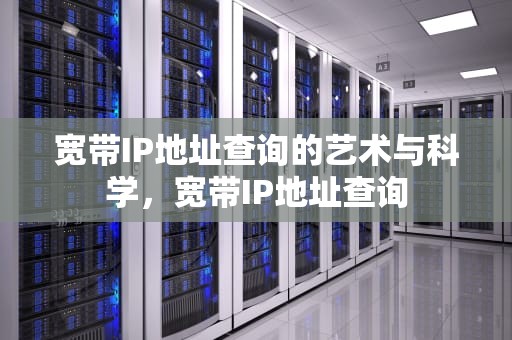 宽带IP地址查询的艺术与科学，宽带IP地址查询