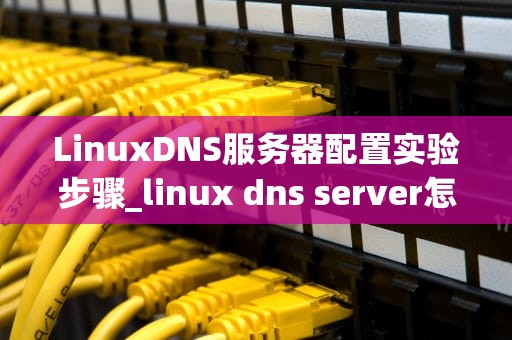 LinuxDNS服务器配置实验步骤_linux dns server怎么配置_Linux DNS服务器配置实验步骤