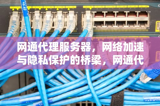 网通代理服务器，网络加速与隐私保护的桥梁，网通代理服务器怎么设置
