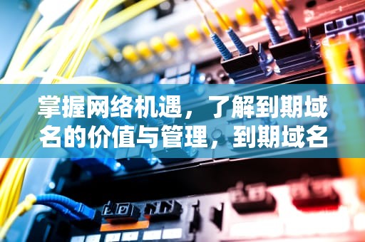 掌握网络机遇，了解到期域名的价值与管理，到期域名如何抢注