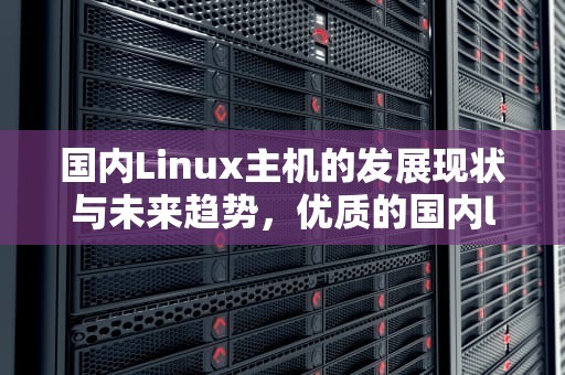 国内Linux主机的发展现状与未来趋势，优质的国内linux主机