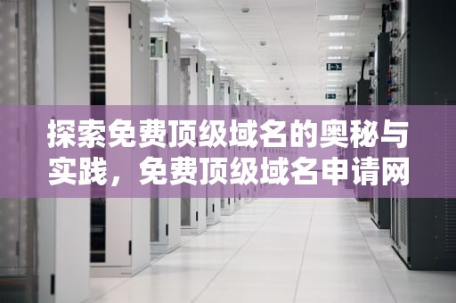 探索免费顶级域名的奥秘与实践，免费顶级域名申请网站