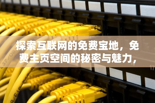 探索互联网的免费宝地，免费主页空间的秘密与魅力，免费主页空间申请