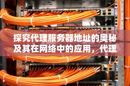 探究代理服务器地址的奥秘及其在网络中的应用，代理服务器地址和端口哪里找